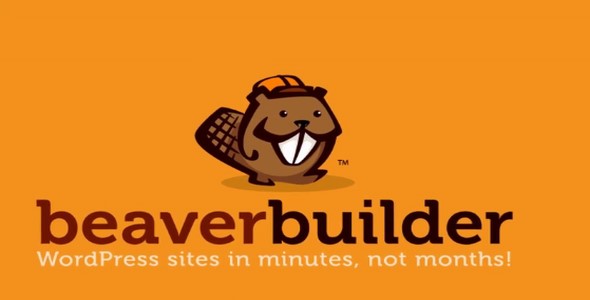 Beaver Builder Pro v2.2.0.4